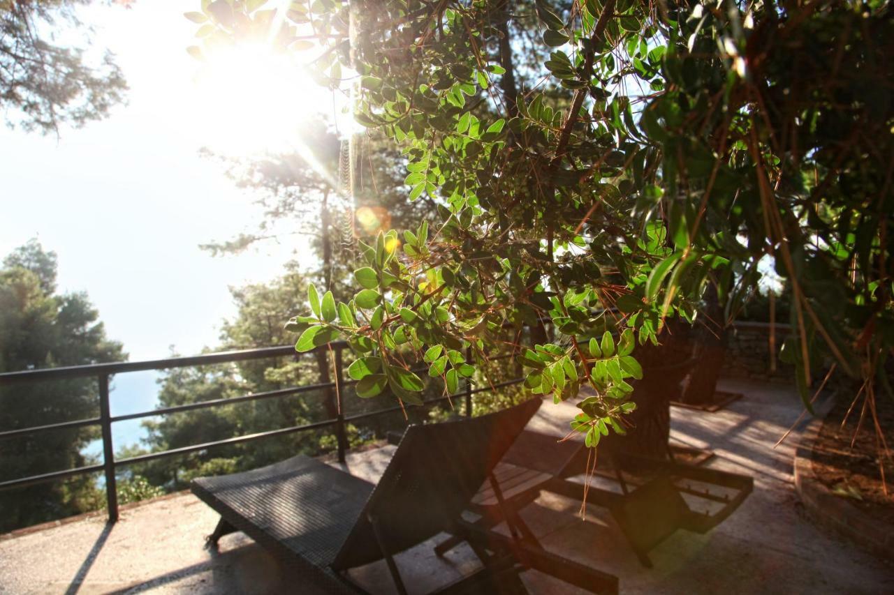 Nostos Hotel Afytos Ngoại thất bức ảnh